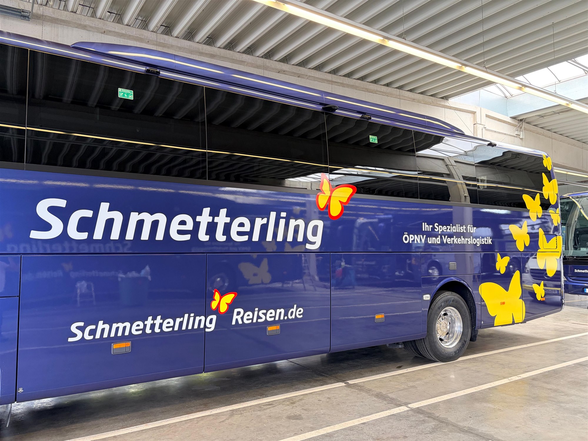 Blauer Reisebus von Schmetterling Reisen mit gelben Schmetterlingen und weißer Beschriftung